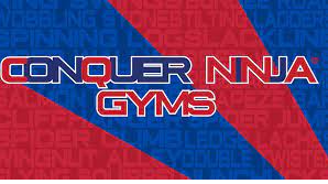 Picture for: Intro to Ninja