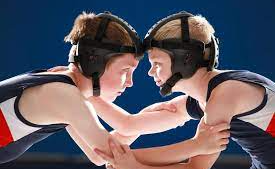 Course Barbarian Wrestling Club image 1