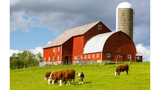 Course Fun on the Farm (Birth - 6) image 1