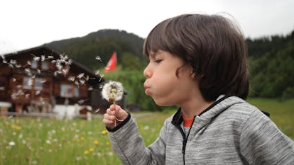 Course ECFE Outdoors @ Falcon Ridge Elementary image 1