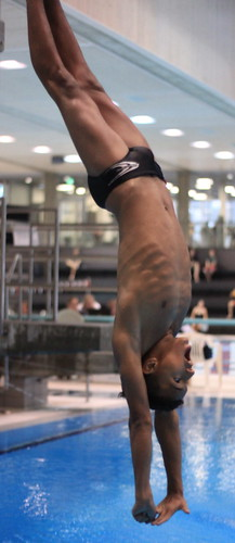 Picture for: High School Diving