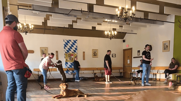 Picture for In Your Spare Time