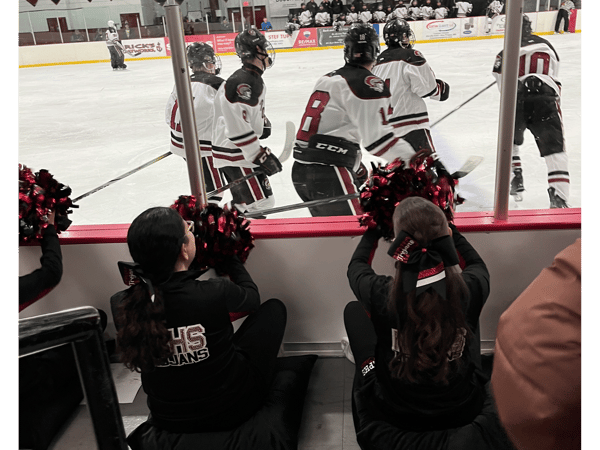 Course Winter Cheerleading image 1