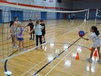 Picture for Volleyball