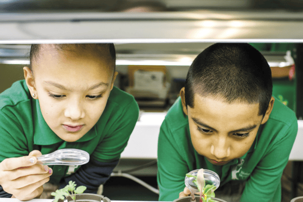 Picture for: GoSolar Kidz: Indoor Gardening