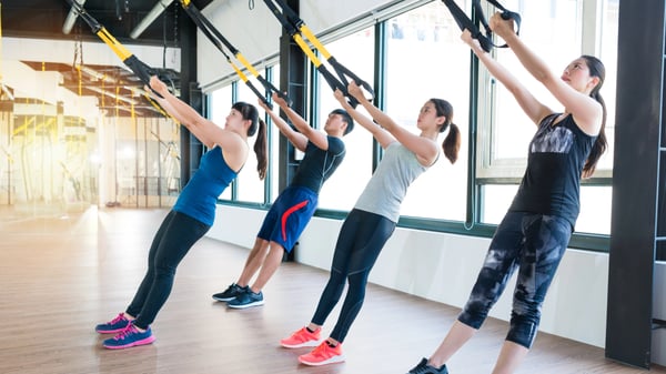 Picture for: TRX Suspension Training