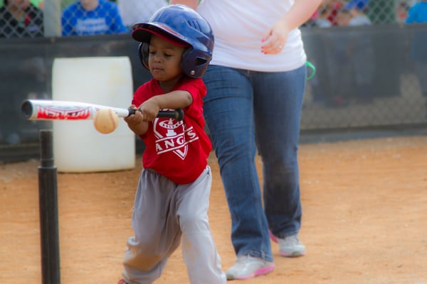 Picture for: Baseball/Softball