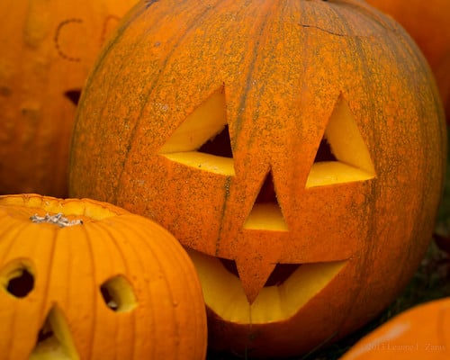 Picture for: Pumpkin Pals