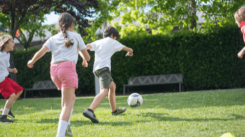 Picture for: Indoor Soccer Camp