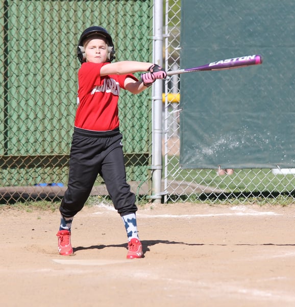 Picture for: NP Trojan Morning Baseball Camp