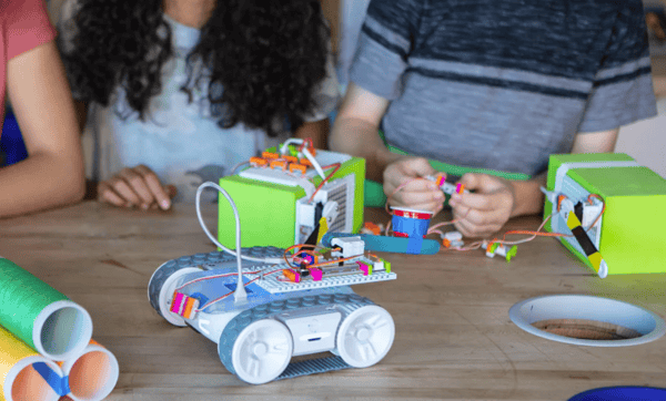 Course The Wild Robot Lit + STEM image 1