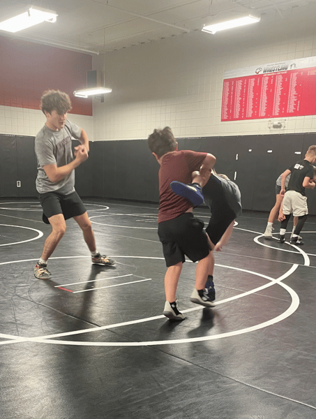 Picture for: Wrestling