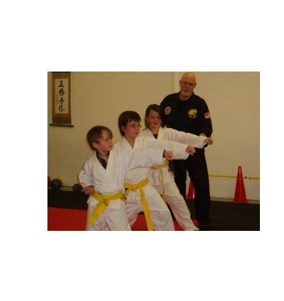 Course Tae Kwon Do (Ages 7 and older) image 1