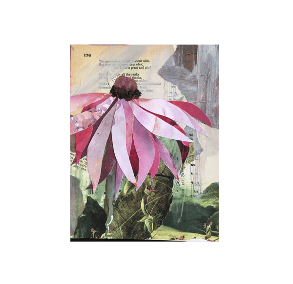 Course Adult Enrichment | Acrylic and Paper Collage (Ages 14 - Adult) image 1