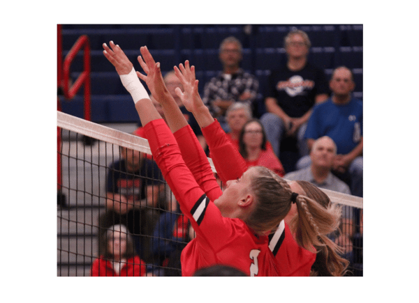 Picture for Volleyball