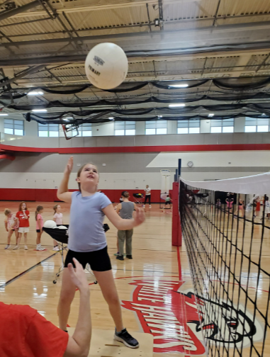 Picture for: White Hawks Volleyball Clinic (Grades K-4)