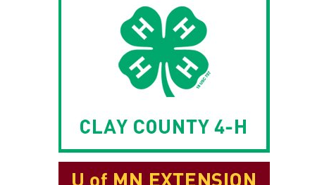 Course *NEW 4-H Gadgets, Toys and Pranks - Grades 4-6 image 1