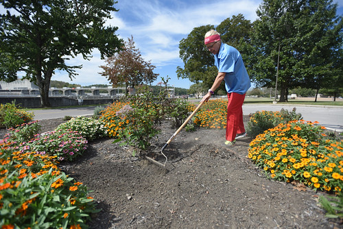 Cheatham Lake seeks gardeners for butterfly waystation