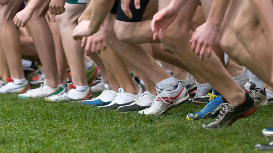 Picture for: Cross Country (5th & 6th Graders)