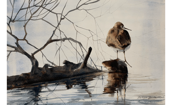 Course *NEW Beginning Drawing and Watercolor 5-Day Workshop image 1