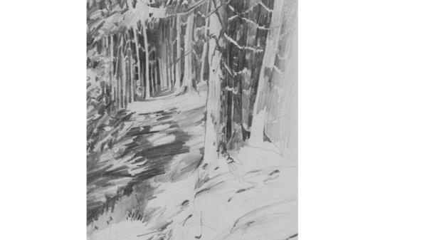 Course Seeing Things Differently: Two Part Sketching Series image 1