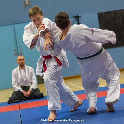 Picture for: *NEW Martial Arts for Adults (Ages 18 & Up)