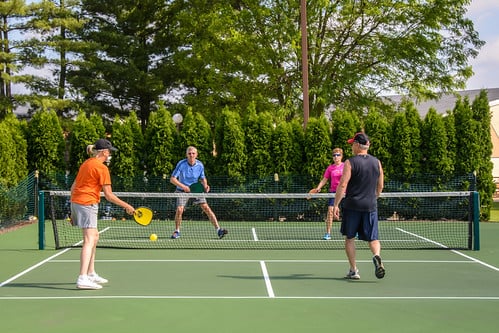 Picture for: 2526 Pickleball Club