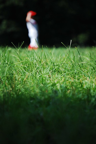 Picture for: Recreation Youth