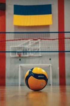 Picture for: Skyhawks: Mini-Hawk Volleyball: Ages 5-7
