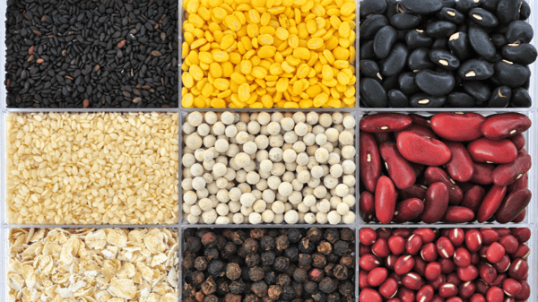 Picture for: Saving Your Seeds
