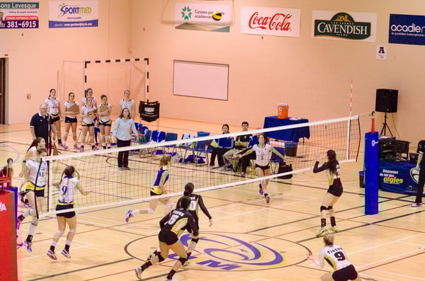 Picture for Volleyball