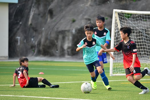 Picture for: SAHR: Soccer Skills Academy: Gr K-5