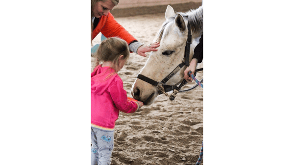 Picture for: My Little Horse Camp (Ages 2-5 with Caregiver)