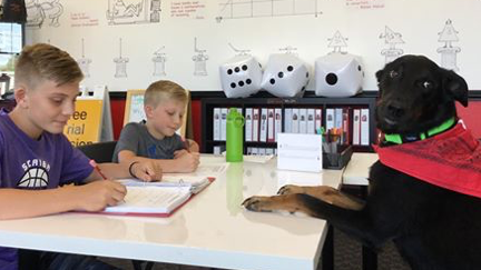Course Not Your Average Math Class (Grades 1-7) image 1