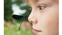 Picture for: Get Outdoors MN Youth Park Play: Half-Day Experiences (Ages 4-7)