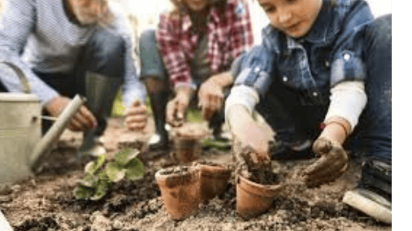 Picture for: Get Outdoors MN Youth Park Play: Week-long Camps (Ages 8-13)