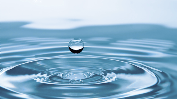 Picture for: Fall Septic System Care