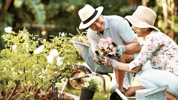 Picture for: Fall Native Perennial Planting
