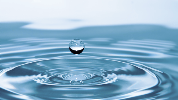 Picture for: Watershed 101