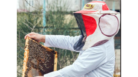 Course Introduction to Beekeeping image 1