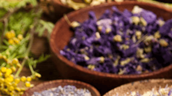 Picture for: Herbalism: Making Your Own Herbal Remedy Capsules