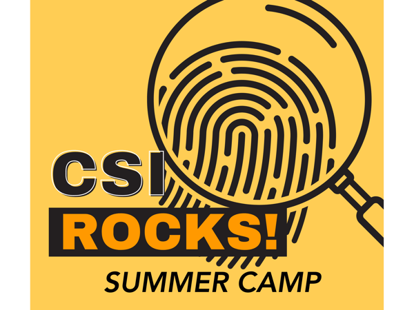 Picture for: CSI Rocks!  (for Grades 10-12)