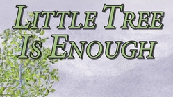 Picture for: Author Visit and Craft with Debi Novotny