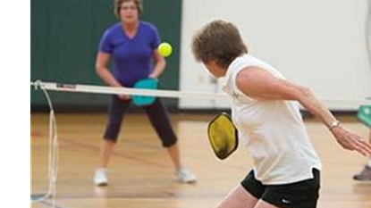 Picture for: Pickleball -Advanced Beginner