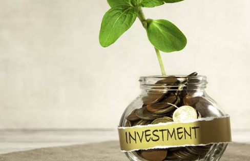 Picture for: Foundations of Investing