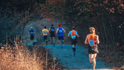 Picture for: Cross Country Activity Fees 2026-27