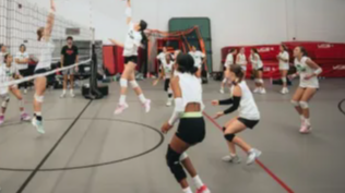 Course Little Sisters Volleyball image 1