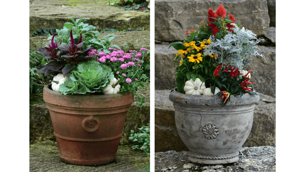 Course Get Creative with Cool Weather Containers image 2