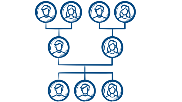 Course Family Trees: Using Ancestry.com image 1