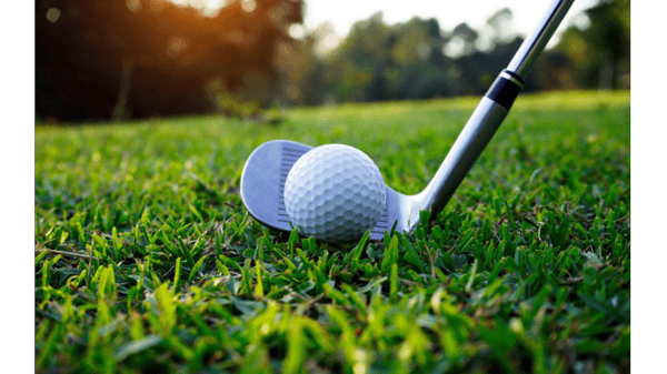 Picture for Golf Squad